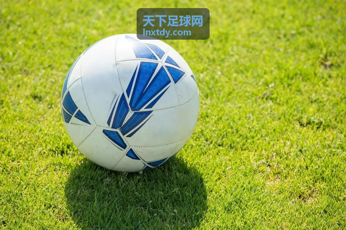 天下足球网联赛预测