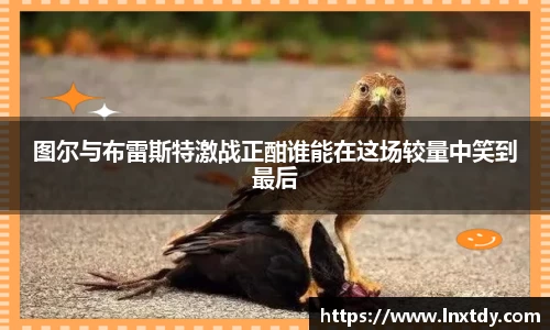 bwin必赢平台
