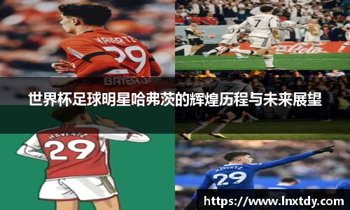bwin必赢平台